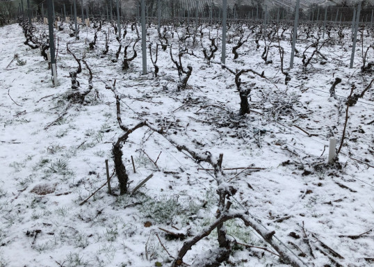 Neige en Terre des Brouilly !